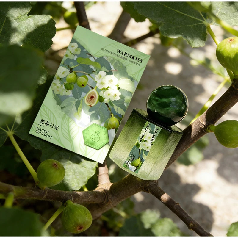 Parfum brume De montagne, parfum fruité Floral De luxe pour femmes, parfum De jasmin/Rose/moyeux/bois De santal/ambre pour hommes