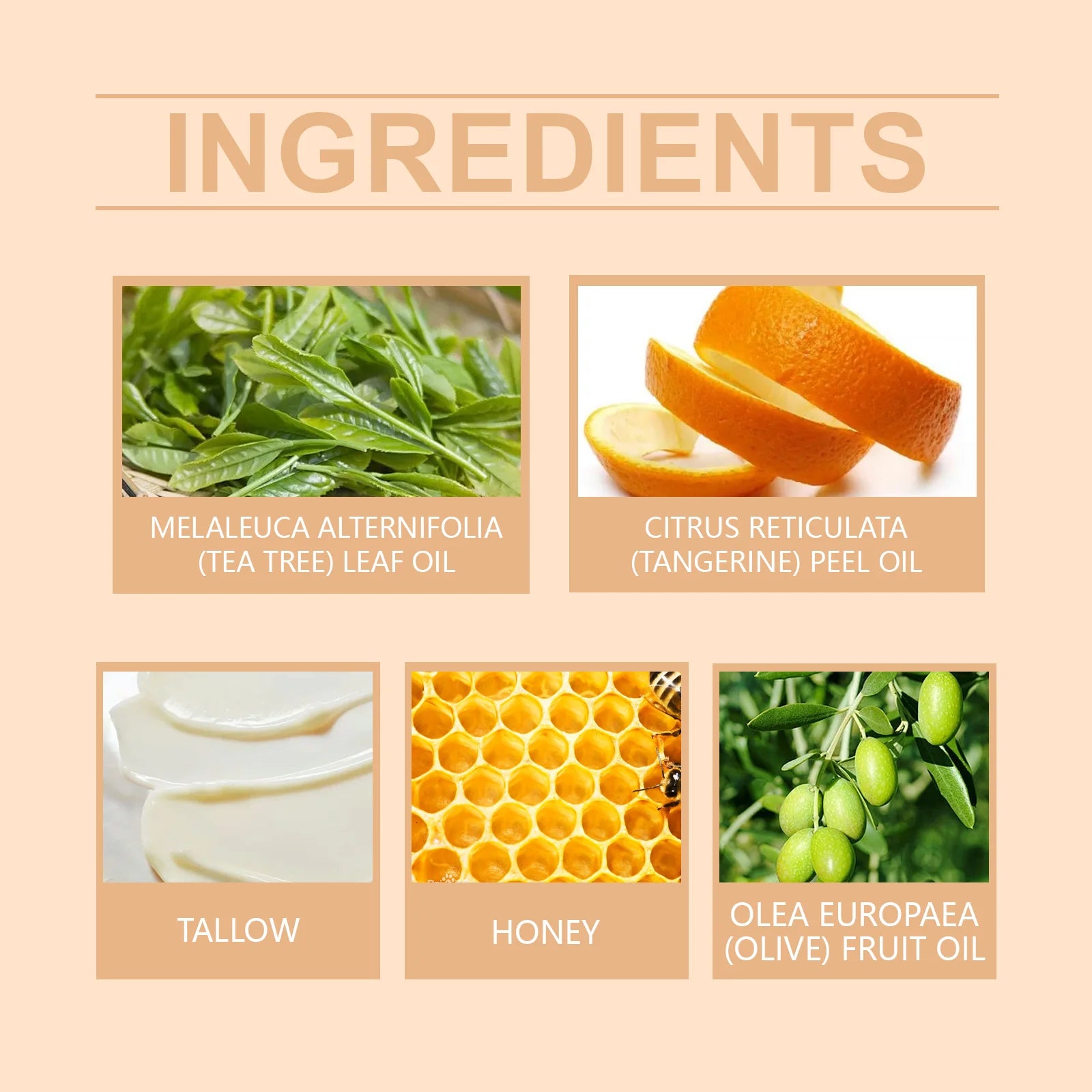 Crème au miel de suif Glow Hydratant pour la peau Améliorer l’élasticité Blanchiment doux Améliorer la matité Raffermissant Visage Corps Hydratant Lotion