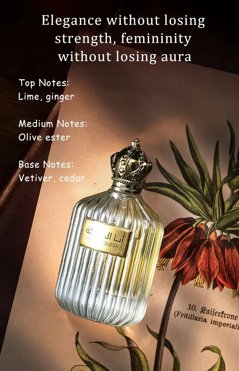 Parfum 100ml original de haute qualité pour hommes Dubai Prince Cologne Parfum longue durée Parfum léger Parfum frais du désert Arabie